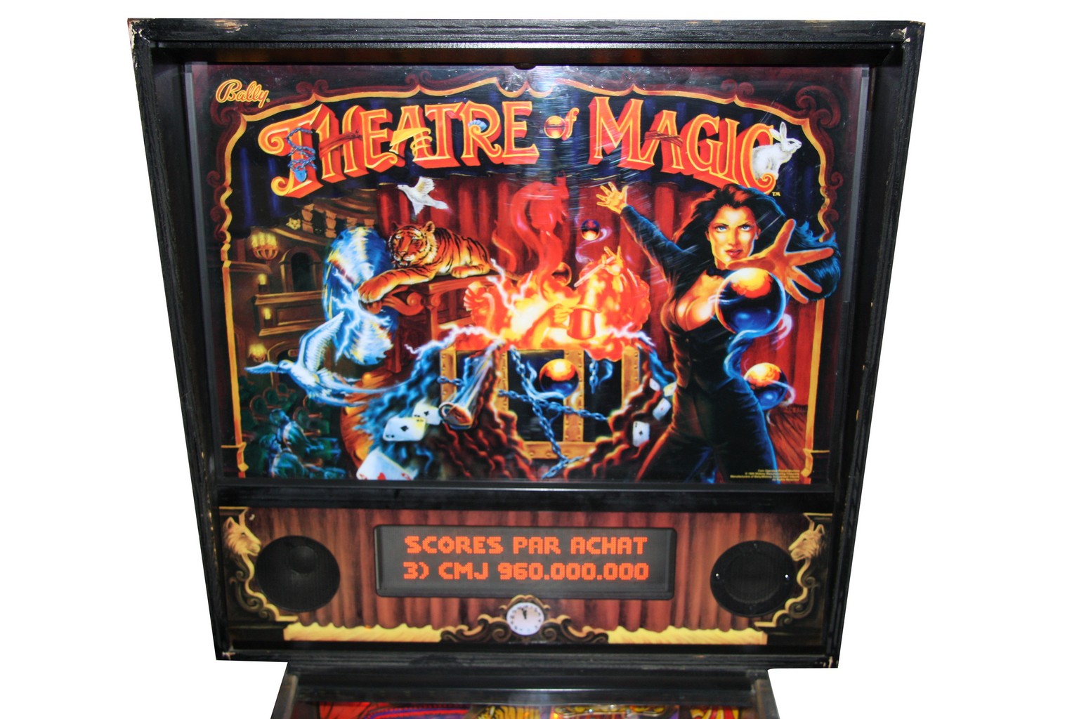 Flipper Theatre of Magic - Fronton